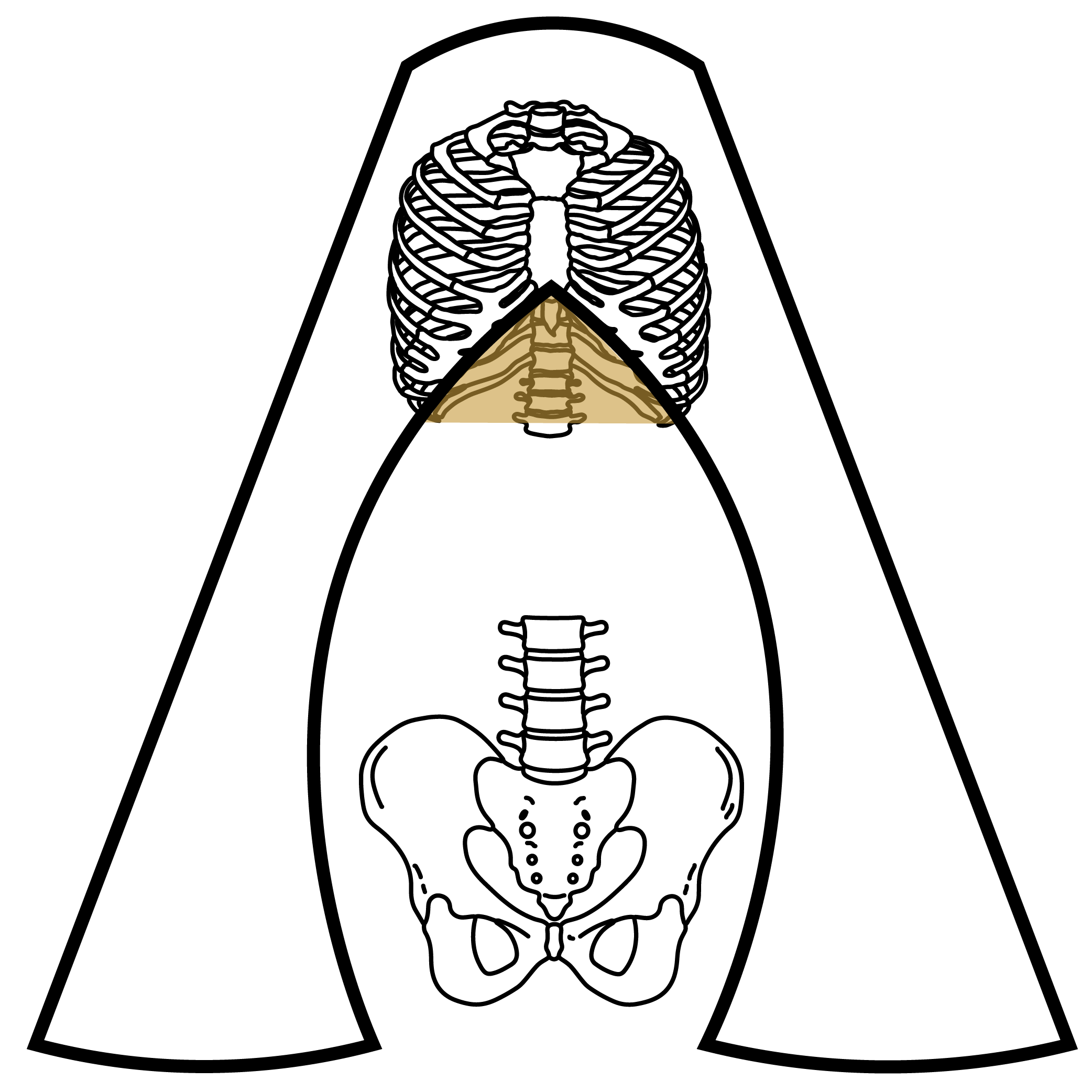 A-frame, open rib angle