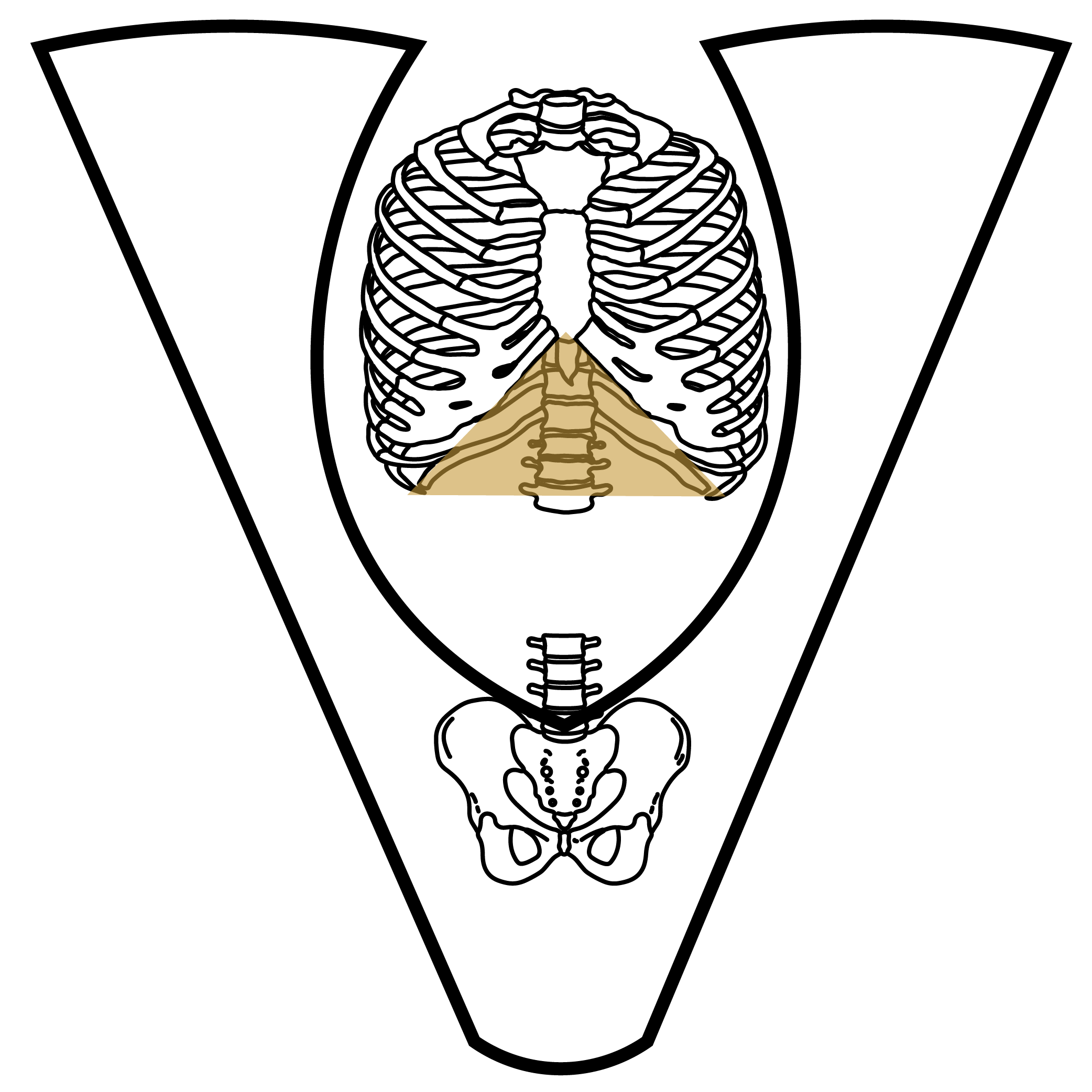 V-frame, open rib angle